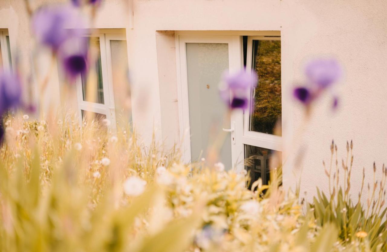 Franc-Bisontin - Unique ! 4 Logements Disponibles Besançon Exteriér fotografie